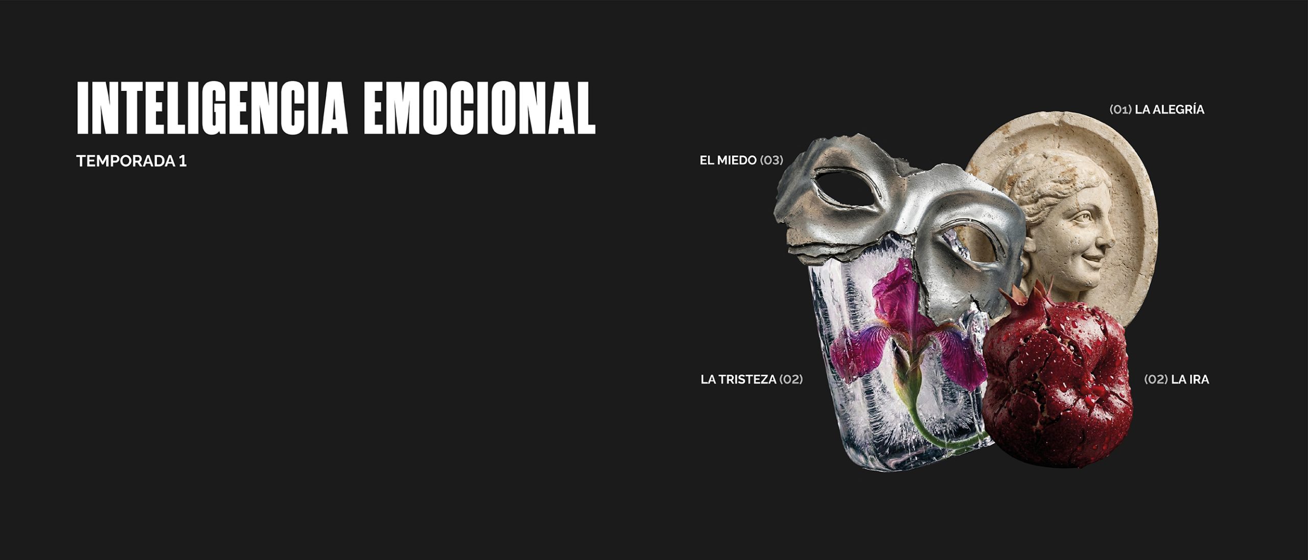 <h1>(IN)COMPLETOS: Programa de inteligencia emocional</h1>